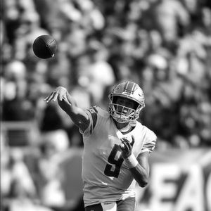 Meet your Posher, Nikolas